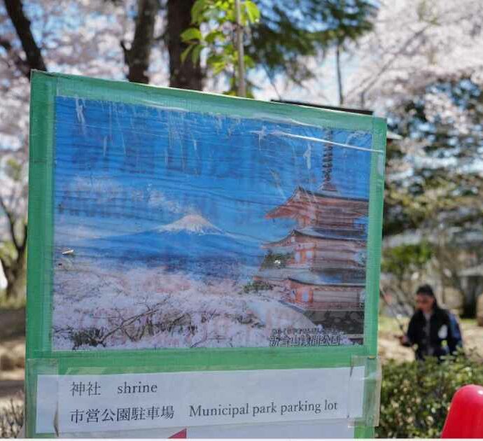 “Il paesaggio pittoresco minaccia la vita tranquilla dei cittadini”: così il Giappone dice stop al festival dei ciliegi