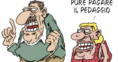 Copertina di La vignetta di Franzaroli