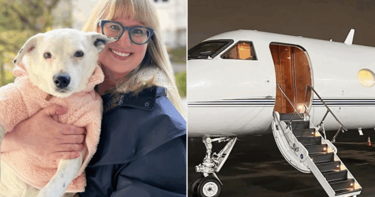 “Ho venduto casa, auto e molti beni per noleggiare un aereo privato e poter portare il mio cane con me. È famiglia, non potevo abbandonarla”: la storia di Emily Gardner