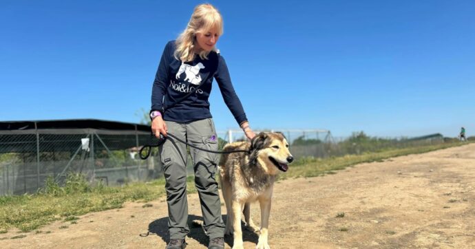 Canili, la volontaria Silvia Dennetta: “Un impegno totalizzante, ma di cui non riesco più a fare a meno”