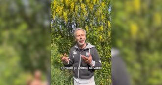 Copertina di Caccia, Giovanni Storti contro la riforma del centrodestra: “Di questi politici bisogna vergognarsi” – Video