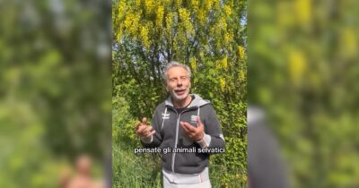 Copertina di Caccia, Giovanni Storti contro la riforma del centrodestra: “Di questi politici bisogna vergognarsi” – Video