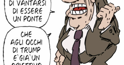 Copertina di La vignetta di Franzaroli