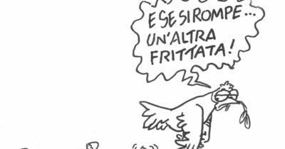 Copertina di La vignetta di Vauro