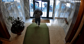 Copertina di Torino, si finge carabiniere e ruba gioielli e bancomat agli anziani: arrestato – Video