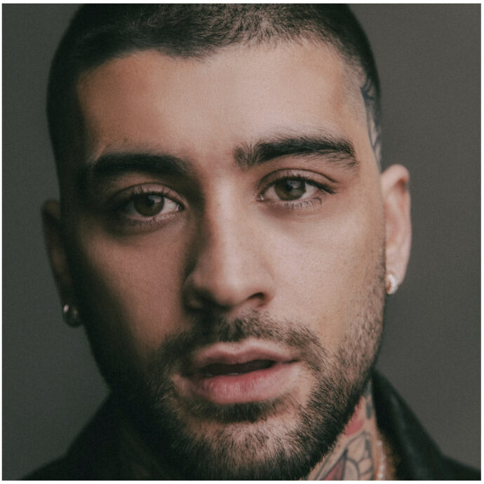 “Zayn Malik ha preso a pugni Louis Tomlinson per un commento sulla madre morta”: taglio alla testa e commozione cerebrale. Il progetto Netflix con i due ex One Direction salta