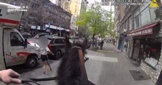 Copertina di Inseguimento a cavallo a Manhattan: così un poliziotto cattura il ladro. Il video dalla bodycam