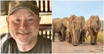 Copertina di “Preferirei essere ucciso da un elefante piuttosto che sparargli”: la “profezia” di Gary Freeman si è avverata, il ranger morto dopo la carica del pachiderma