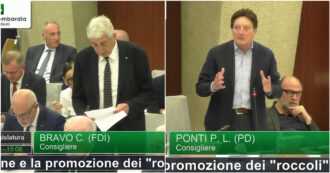 Copertina di Catturare e ammazzare uccelli per FdI in Lombardia è “buonsenso”, così chiede la riapertura dei roccoli. Pd, M5s e Avs: “È illegale”