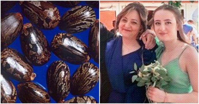 L’ipotesi del veleno artigianale ricavato dai semi di ricino per il caso di madre e figlie uccise. Sopralluogo in una scuola della provincia