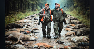 Copertina di Col ddl 1552 sulla caccia, la natura diventerà un poligono di tiro permanente: si fermi questo colpo di mano