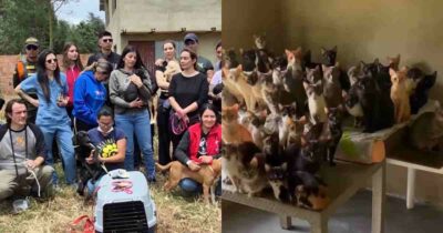 Copertina di Oltre cento animali rinchiusi in una casa: il rifugio fuori controllo e la scoperta choc dei soccorritori