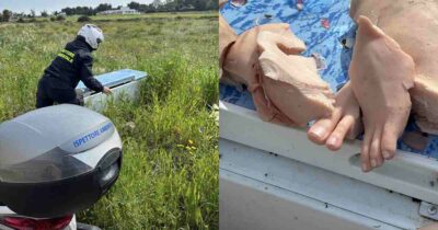 Copertina di “C’è un cadavere nel frigorifero abbandonato”. La telefonata choc, poi l’incredibile scoperta: “Quale mente avrà mai potuto ideare tutto questo?”