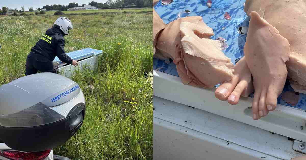 “C’è un cadavere nel frigorifero abbandonato”. La telefonata choc, poi l’incredibile scoperta: “Quale mente avrà mai potuto ideare tutto questo?”