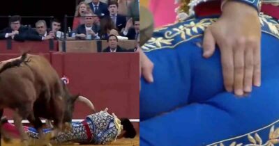 Copertina di Il toro lo incorna nel gluteo, il torero Morante de la Puebla è in gravi condizioni: attimi di paura alla Corrida di Siviglia