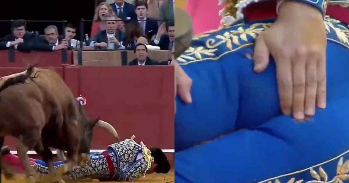 Il toro lo incorna nel gluteo, il torero Morante de la Puebla è in gravi condizioni: attimi di paura alla Corrida di Siviglia