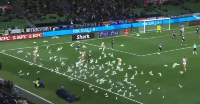 L’invasione dei gabbiani sul campo da calcio: la partita sembra un remake di Hitchcock | Domeniche Bestiali