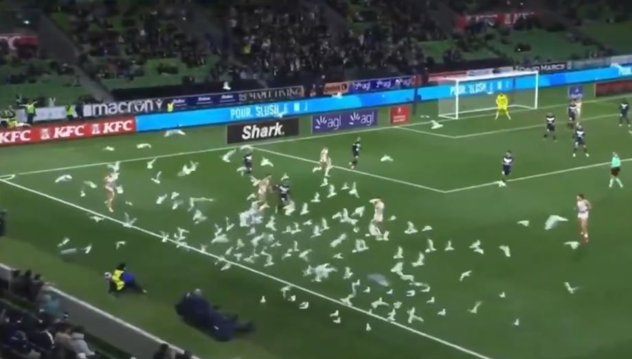 L’invasione dei gabbiani sul campo da calcio: la partita sembra un remake di Hitchcock | Domeniche Bestiali