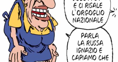 Copertina di La vignetta di Franzaroli