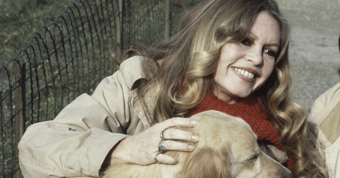 Brigitte Bardot, la sua fondazione animalista e i legami con l’estrema destra francese: l’inchiesta di Libération