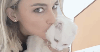 Copertina di “La prima volta che l’ho vista ho pensato, oddio, quanto è bruttina. Però ho voluto prenderla lo stesso con me”: Francesca Fialdini presenta la gatta Myra