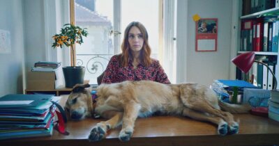 Copertina di Un cane a processo, la parabola di Cosmos tra farsa e tribunale che insegna che gli animali non sono oggetti