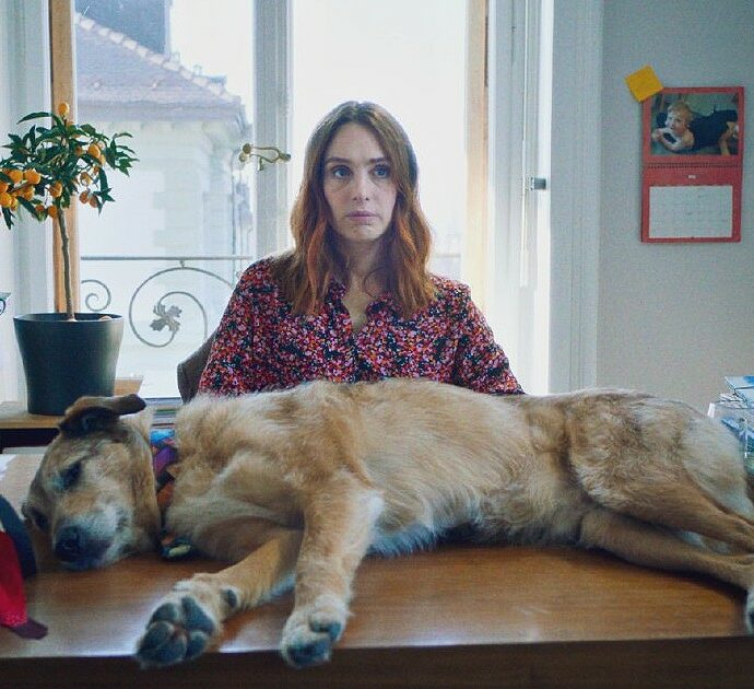 Un cane a processo, la parabola di Cosmos tra farsa e tribunale che insegna che gli animali non sono oggetti