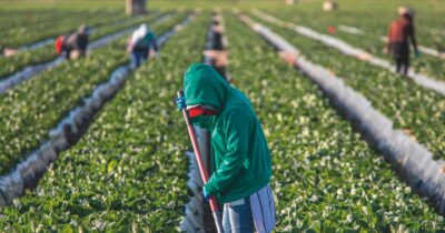 Copertina di La Cassazione “sindacalista”: svolta penale sugli sfruttatori