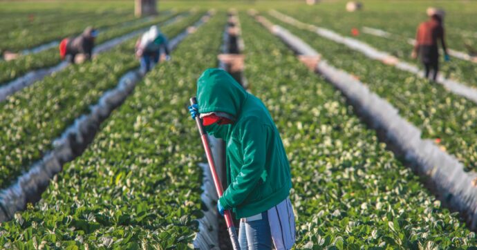 La Cassazione “sindacalista”: svolta penale sugli sfruttatori