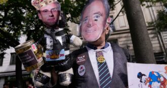 Copertina di Conciatore italiano del gruppo LVMH “compra pelli di animali da terreni deforestati in Sud America e fa lobbying in Ue”