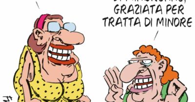 Copertina di La vignetta di Franzaroli