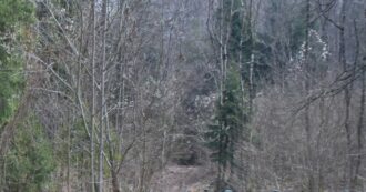 Copertina di Ragazza trovata morta in una scarpata a Cecima (Pavia): non escluso l’omicidio. Perquisizioni in casa di un amico