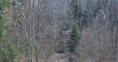 Copertina di Ragazza trovata morta in una scarpata a Cecima (Pavia): non escluso l’omicidio. Perquisizioni in casa di un amico