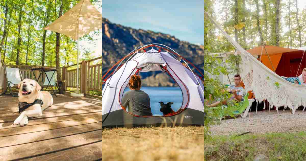 Le vacanze (low cost) in camping sono il trend della primavera e dell’estate 2026: la nostra guida ai campeggi più belli e suggestivi da provare