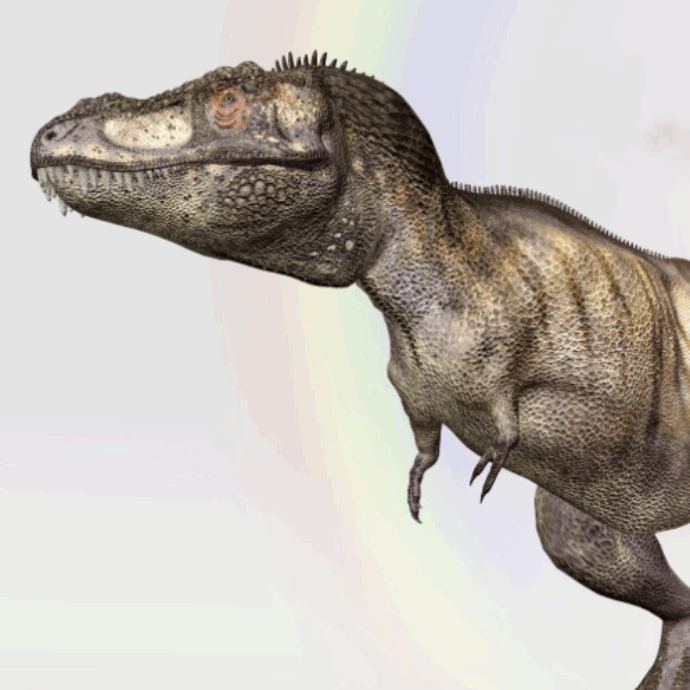 Il Tyrannosaurus rex non era affatto come lo abbiamo sempre immaginato
