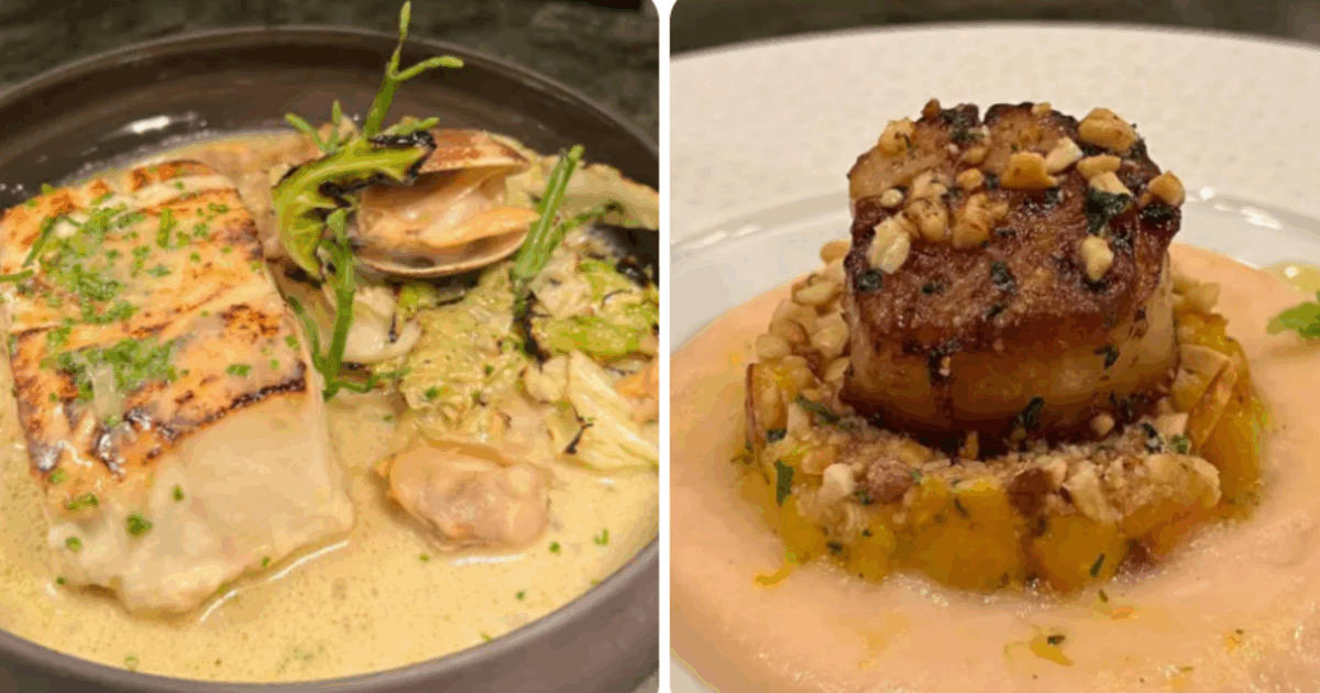 “Il cibo era mediocre, quasi senza sapore. Niente era disgustoso, ma tutto aveva lo stesso gusto. E abbiamo speso 220 euro a persona”: la stroncatura del ristorante di Disneyland è virale