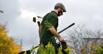 Copertina di Ambiente e lavoro, l’esperto: “La specializzazione sui fronti della sostenibilità è richiesta nell’80% dei casi”
