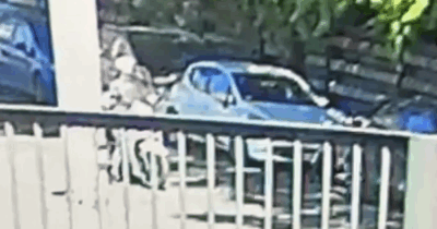 Copertina di Spari al 25 aprile, l’arrivo in scooter e la fuga verso Piramide: il video che mostra Eithan Bondì colpire due iscritti Anpi