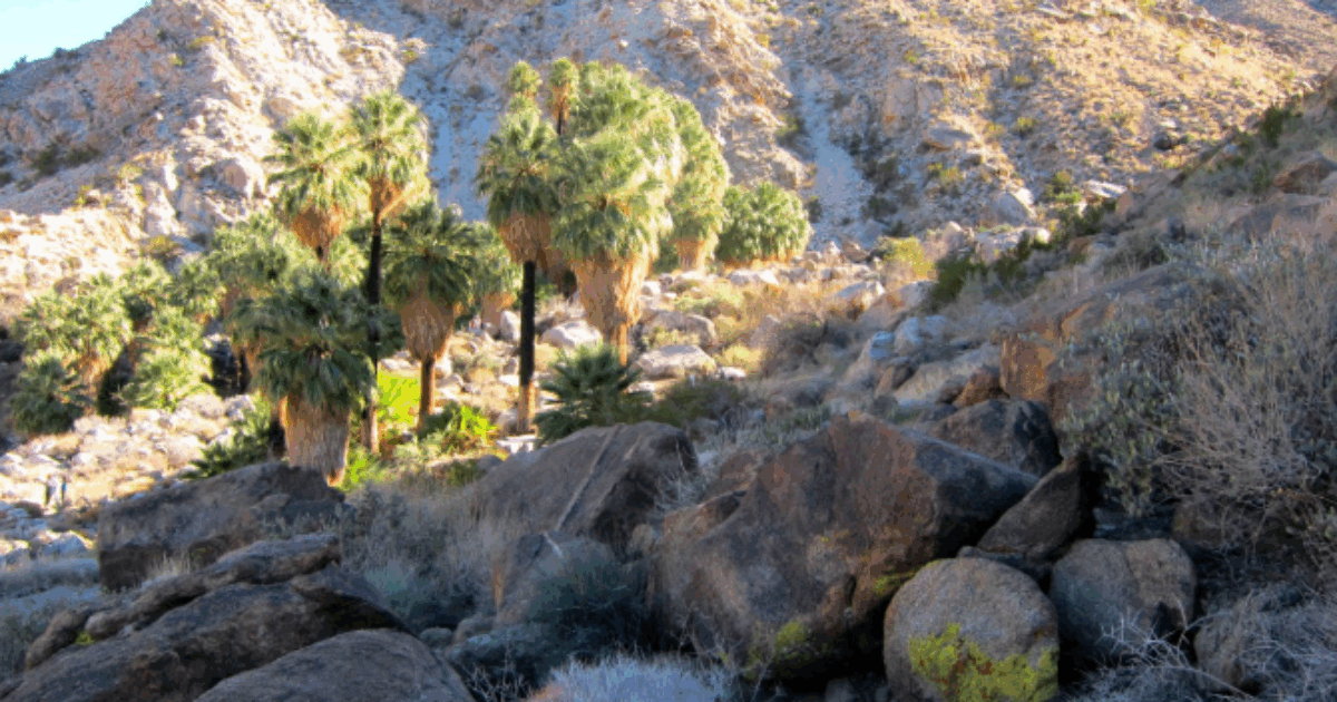 Escursionista si gode la pace di una camminata “in un’area deserta” quando s’imbatte in un teschio umano: cosa è accaduto