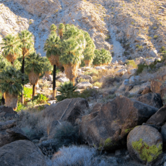 Escursionista si gode la pace di una camminata “in un’area deserta” quando s’imbatte in un teschio umano: cosa è accaduto