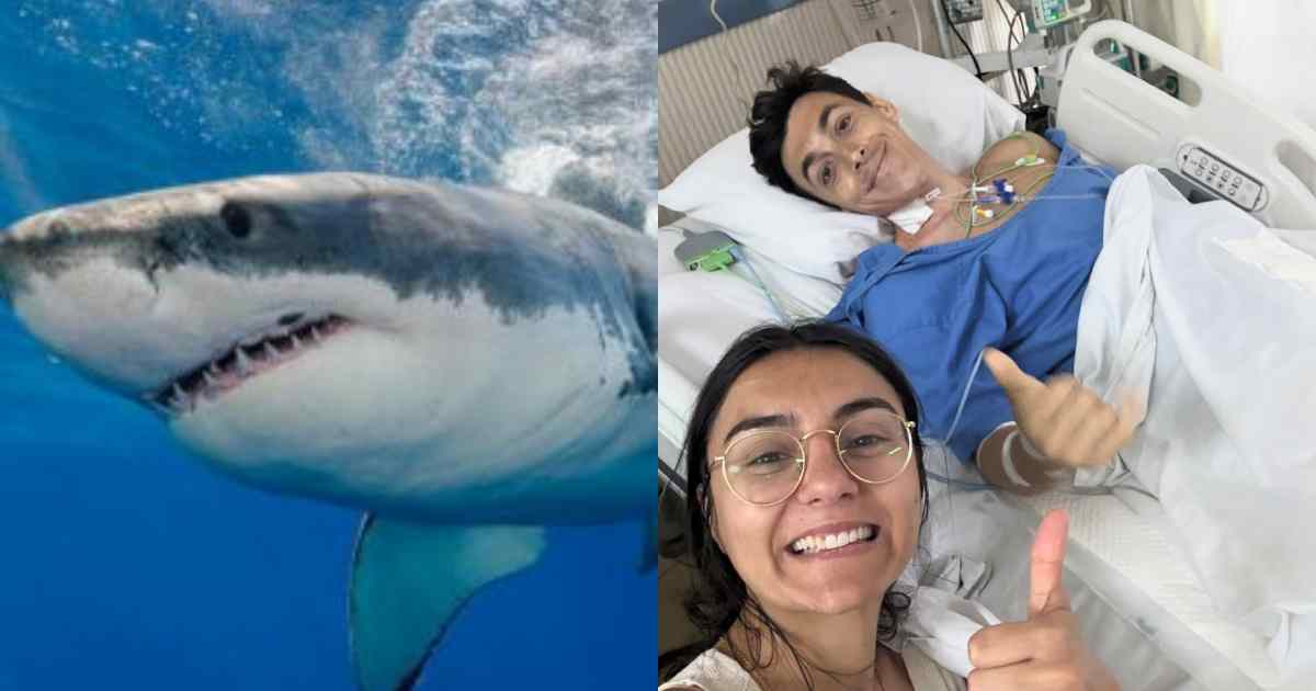 Luna di miele da incubo alle Maldive: giovane medico perde una gamba dopo l’attacco di uno squalo. Il commento ironico della vittima: “Abbiamo iniziato alla grande”