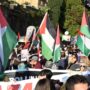 Copertina di Flotilla, i due leader della missione portati in Israele. Presidio davanti alla Farnesina per il rilascio di Thiago e Saif: alle 12 conferenza stampa