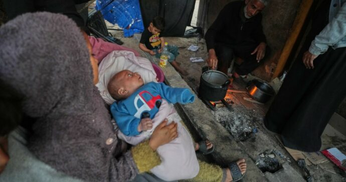 Gaza afflitta anche dai topi: entrano nelle tende e mordono i bambini. Aumentano malattie, malformazioni e neonati morti