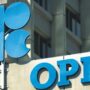 Copertina di Una storia dell’Opec:  perché  la sua crisi non è cosa buona