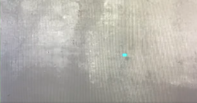 “Nella notte si sentono urla oltre ogni limite, con frequenze più alte di quelle di un babbuino. So cosa ho visto, ma non so cosa ho visto”: è giallo dopo il ritrovamento di grandi impronte nei boschi