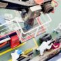 Copertina di Morti e contagiati da hantavirus su nave da crociera, Oms: “Possibile trasmissione da uomo a uomo”. La Spagna cauta sull’attracco