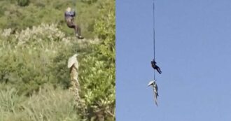 Copertina di “Aveva fatto un pasto abbondante, c’erano resti umani e 12 scarpe nel suo stomaco”: coccodrillo di 500 chili viene catturato e abbattuto, poi la scoperta choc – VIDEO