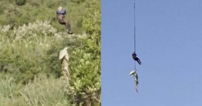 Copertina di “Aveva fatto un pasto abbondante, c’erano resti umani e 12 scarpe nel suo stomaco”: coccodrillo di 500 chili viene catturato e abbattuto, poi la scoperta choc – VIDEO