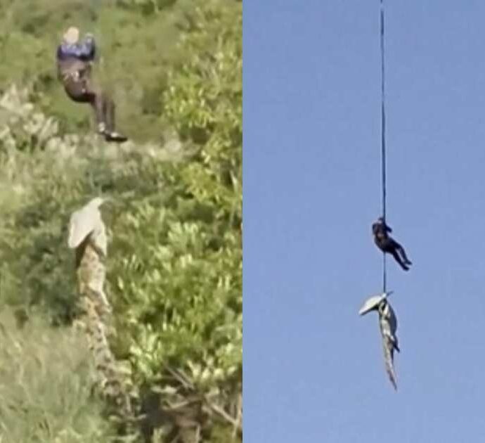 “Aveva fatto un pasto abbondante, c’erano resti umani e 12 scarpe nel suo stomaco”: coccodrillo di 500 chili viene catturato e abbattuto, poi la scoperta choc – VIDEO