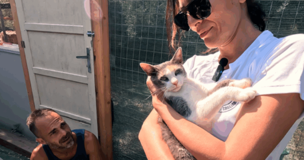 “Mi hanno definita ‘nonna attempata’ perché sono diventata mamma a 47 anni? Mi fanno pena, moriranno a 55 come nel dopoguerra. Ora vi racconto il mio viaggio tra canili e gattili sardi”: parla Caterina Murino